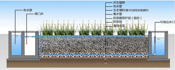 FMEFD-兼氧微生(shēng)态濾床工(gōng)藝2.png